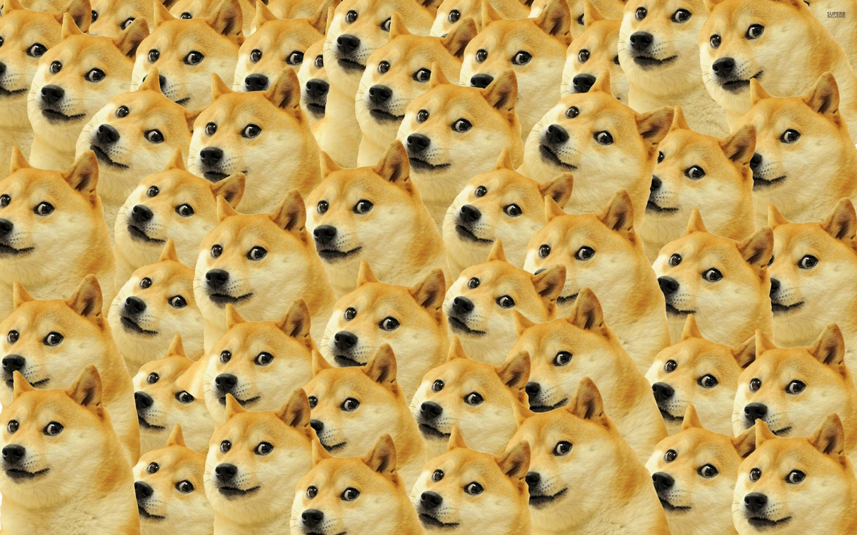 Взято с http://favim.com/image/2897235/