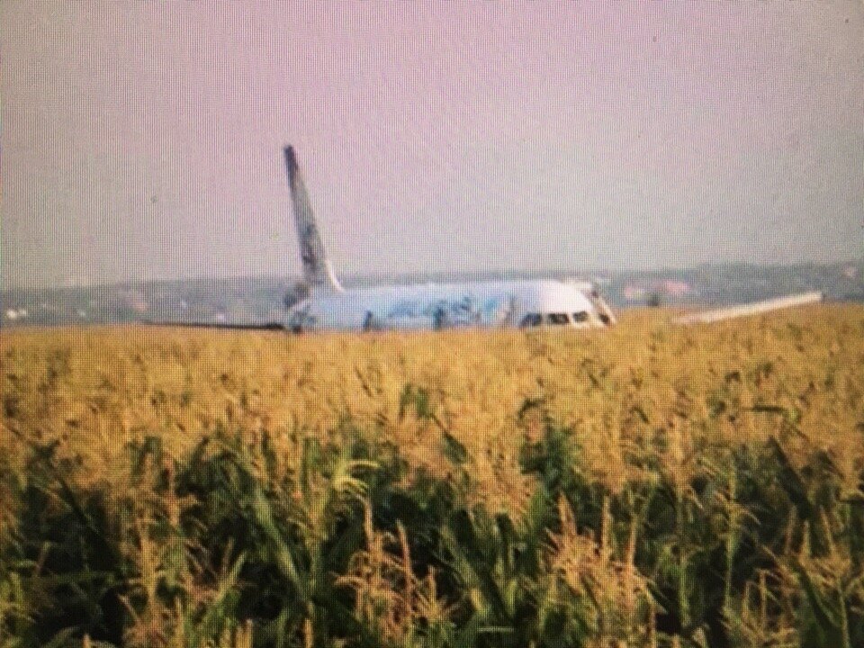 Самолет приземлился в кукурузу в подмосковье