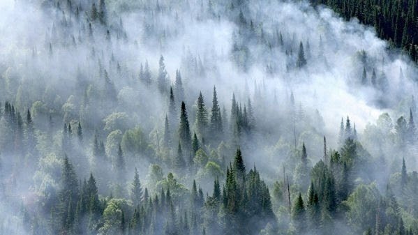 Фото и полный текст петиции: chang.org