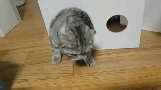 GIF картинка с сайта: gifer.com