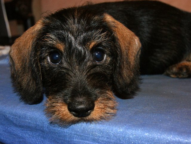 Кому сказать спасибо, что живой? 