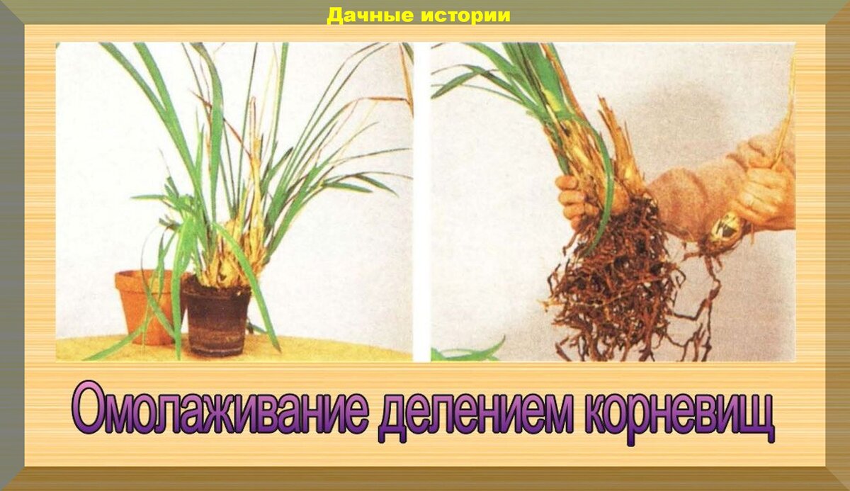 https://vk.com/photo-159774511_457242523