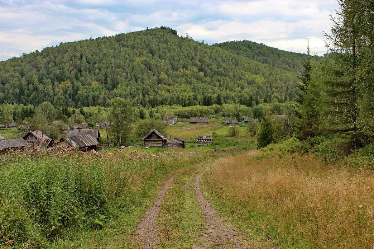 фото с сервиса Яндекс.Картинки