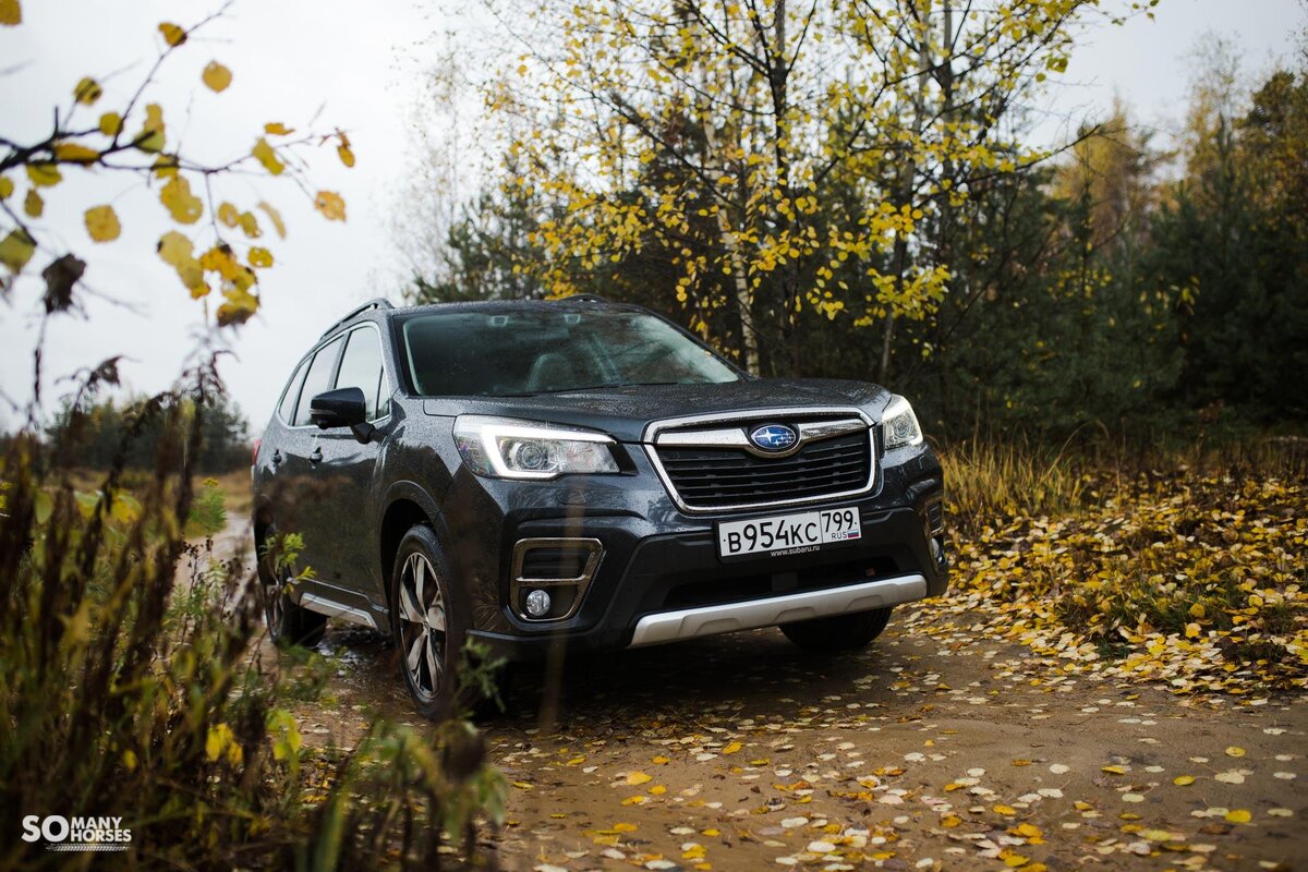 Subaru Forester 2021 осень