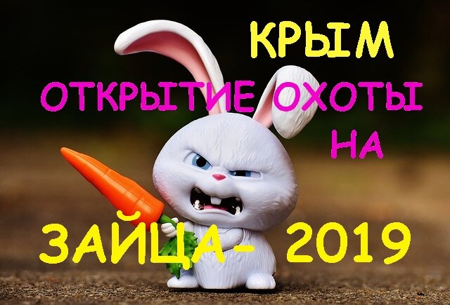 Все фото автора