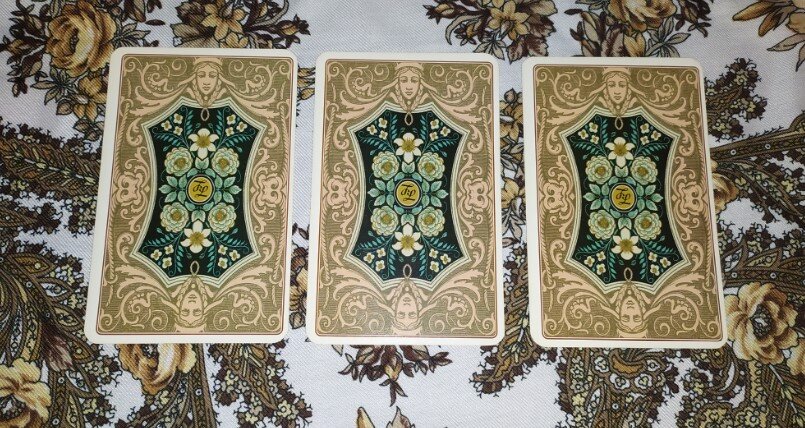 Три варианта. "Что думает..." Фото автора