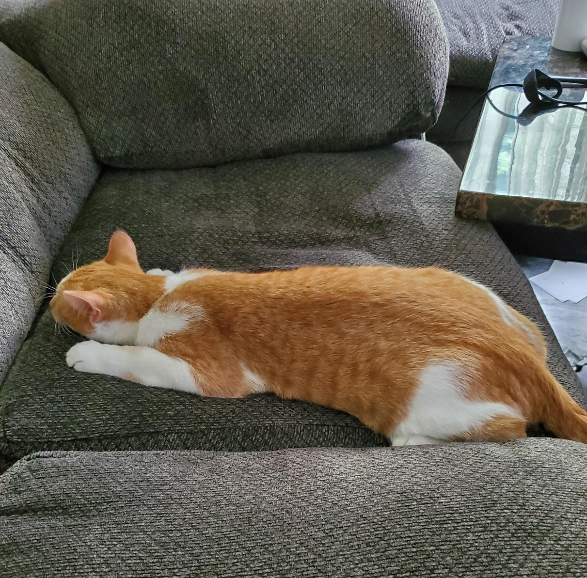 Источник фото: imgur.com