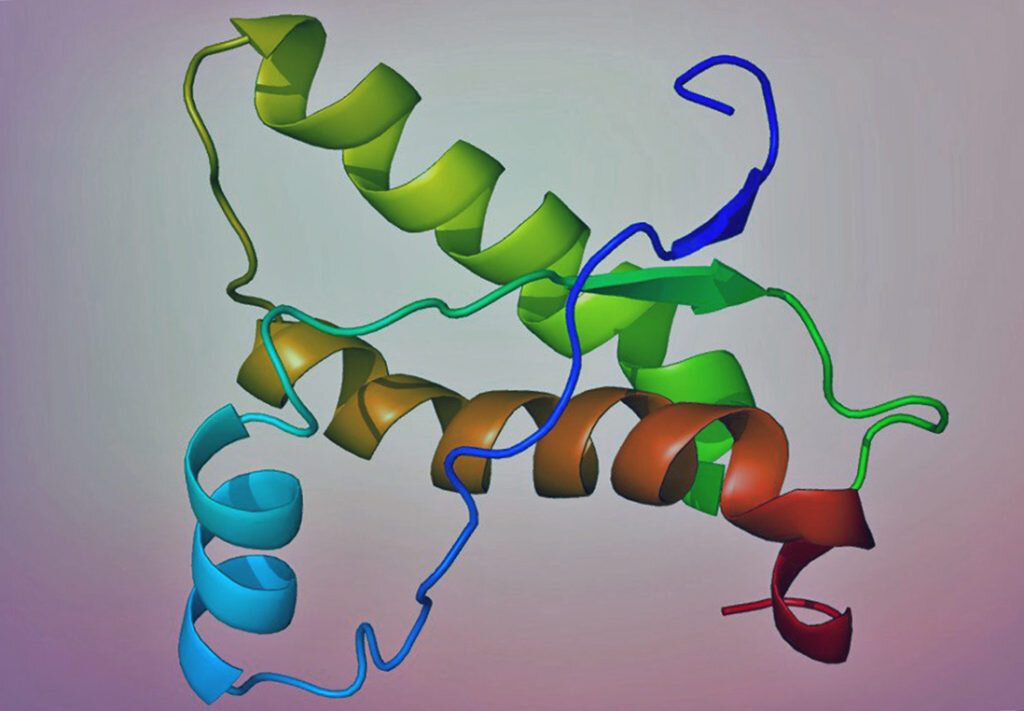 Схематичное изображение белка приона