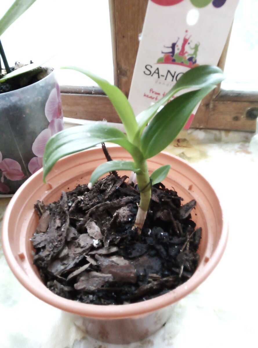 Первоначально он был таким