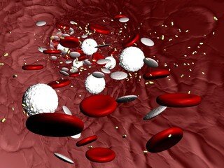 Почему у людей соленая кровь: причины и объяснения