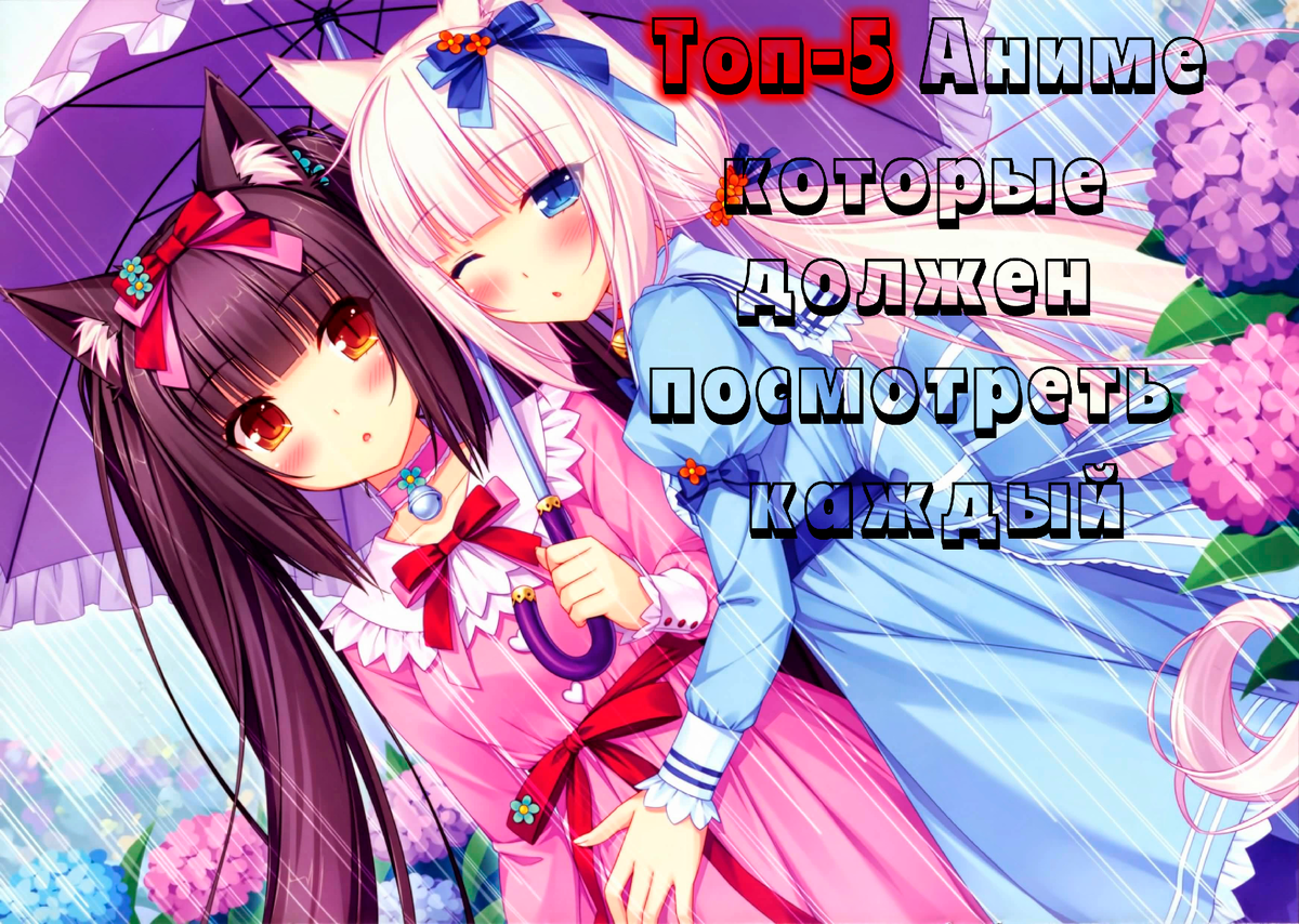 Жанр:Драма, романтика.