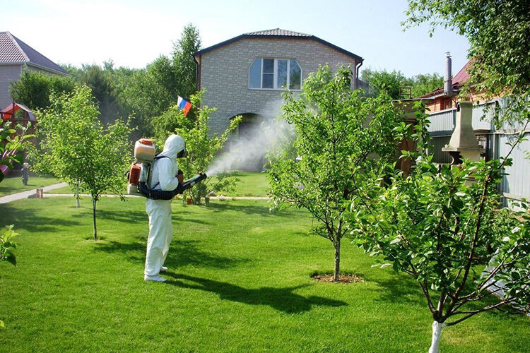 Обработка участка от клещей