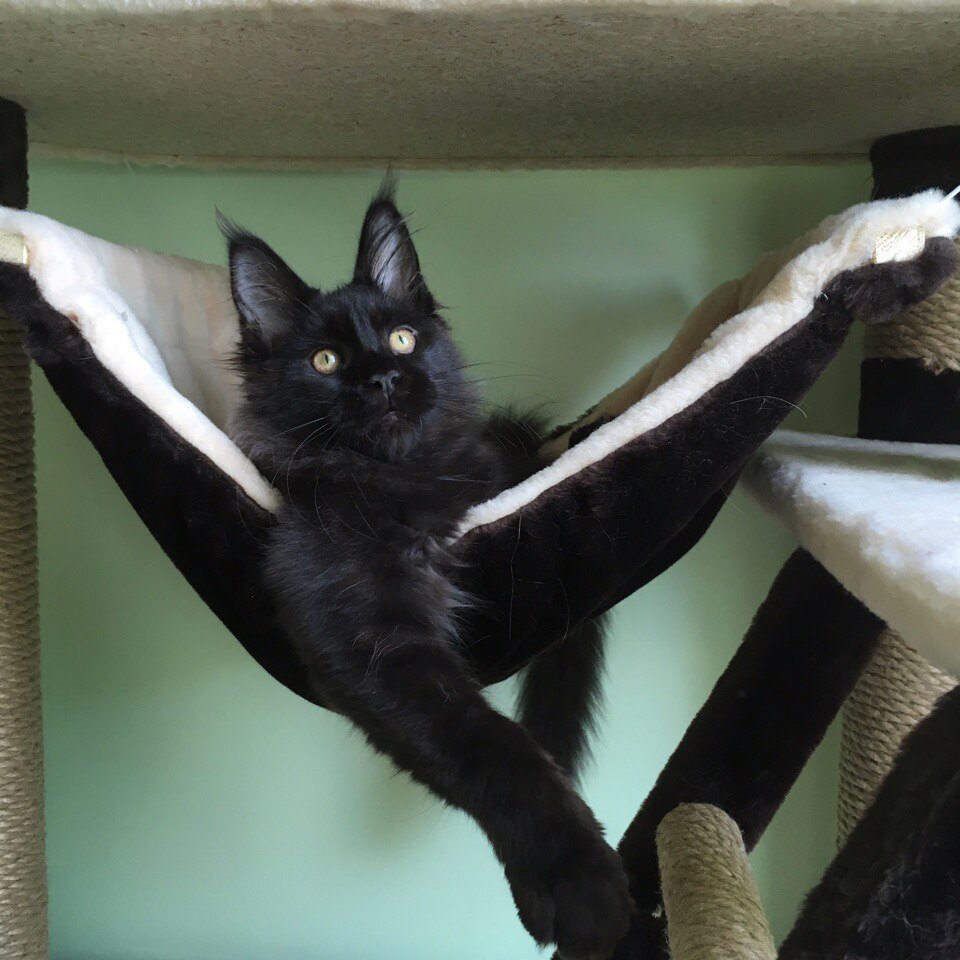 Фото из личного архива.