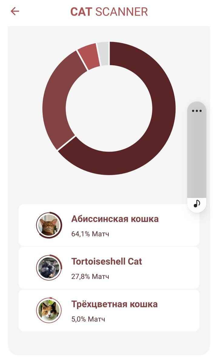 Наверное сканером на Шэри, это приложение проводит анализ и даёт результат!