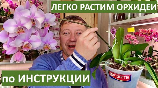 ОРХИДЕИ РАСТИМ ЛЕГКО по ИНСТРУКЦИИ и как влияет СТРЕСС на орхидеи