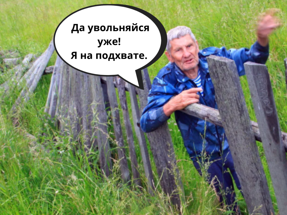 Наг я вышел из чрева матери моей наг и возвращусь. Учительницу уволили. Учительницу уволили из школы. Директор гимназии 168. За что уволили мокаева.