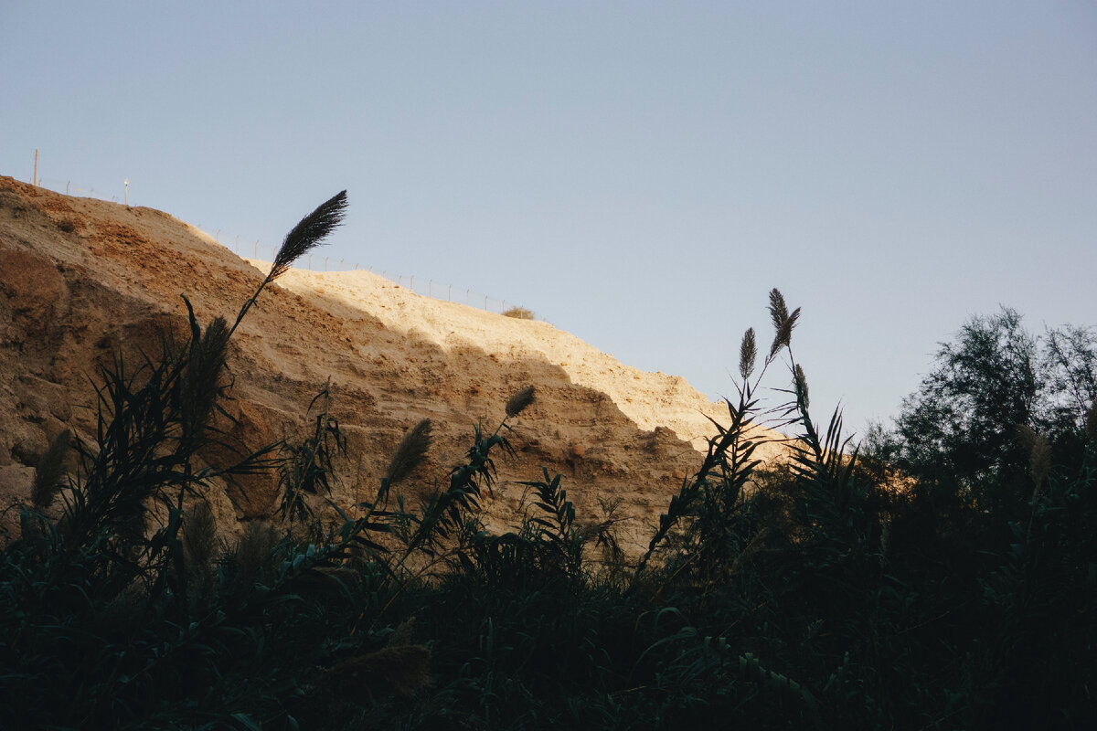 Фото: Haley Black: Pexels