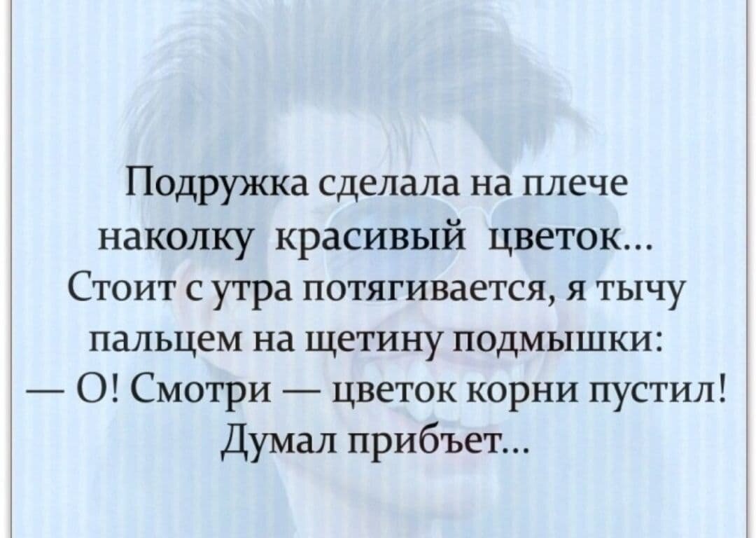 Интригующее предисловие веселой байки 8 букв