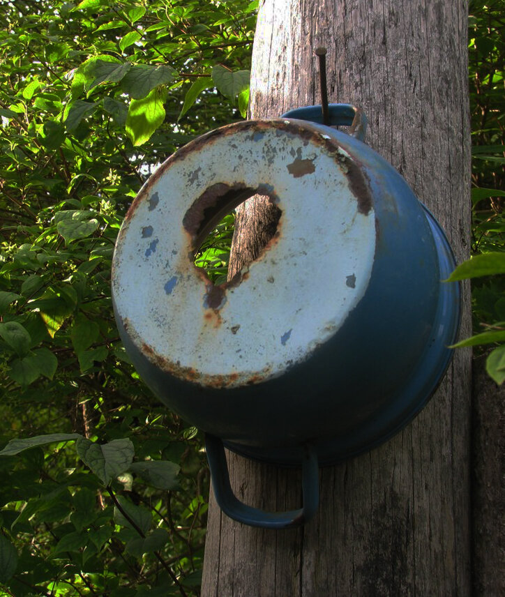 Фото из сети.