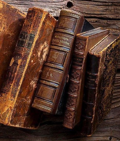 Фото из интернета