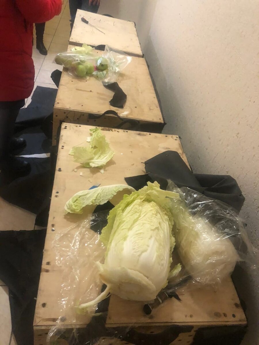 подготовка к первому приему пищи через дырочки. Открывать страшно, вдруг укусят