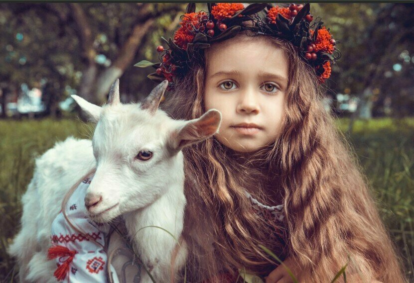 Добавьте описание