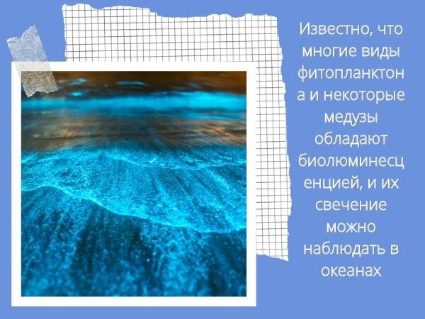 Ошеломляющая красота природных явлений: Принесенные ветром