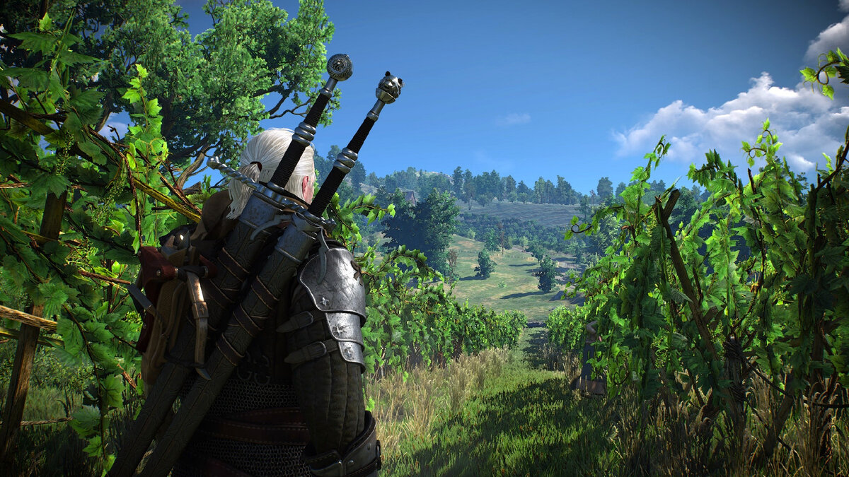 The Witcher 3: Wild Hunt
