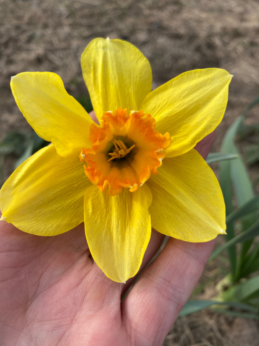 Личное фото 