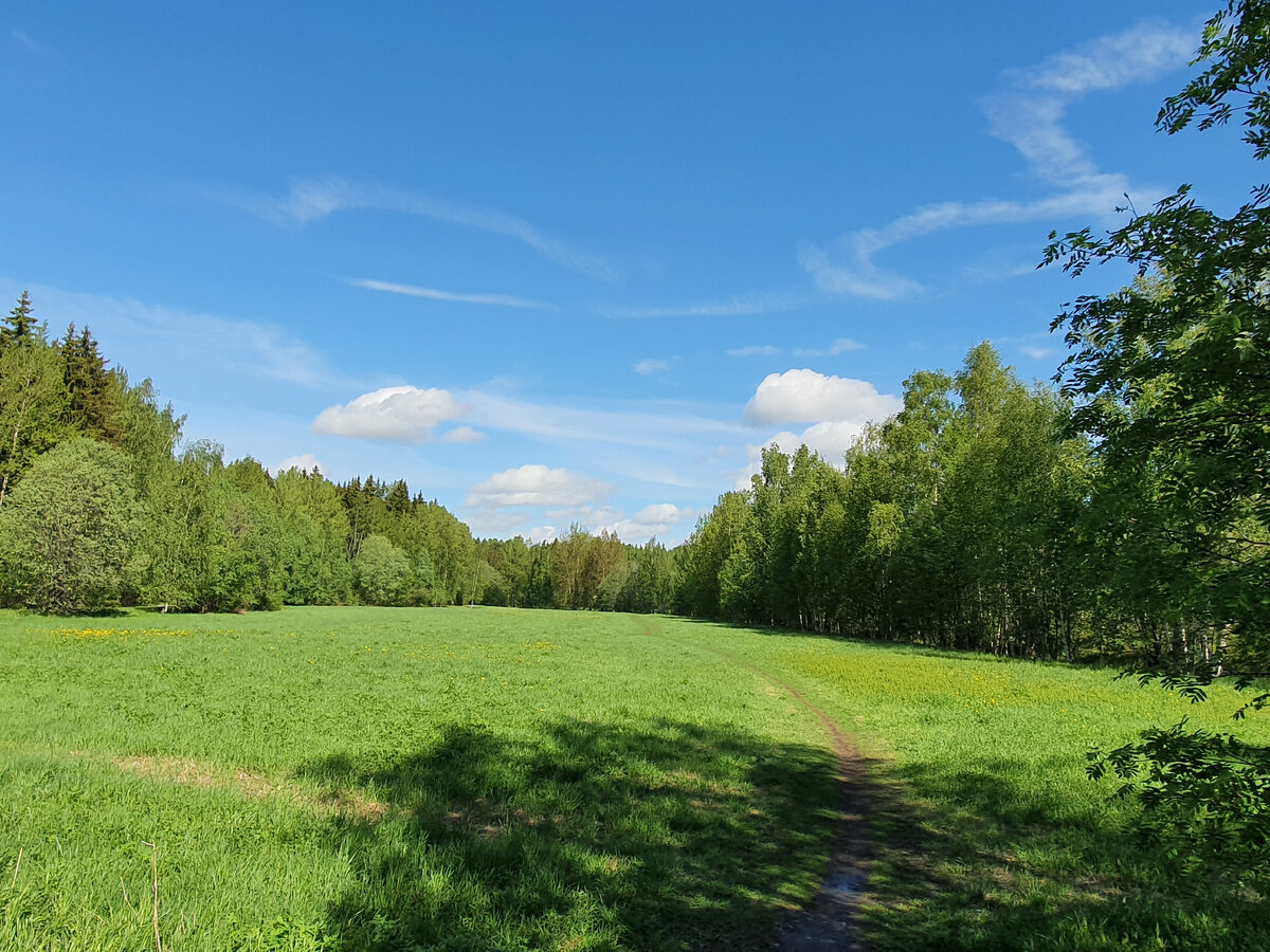 По дороге с облаками