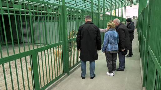 Радужный является примером для других городов округа по работе с беспризорными животными.