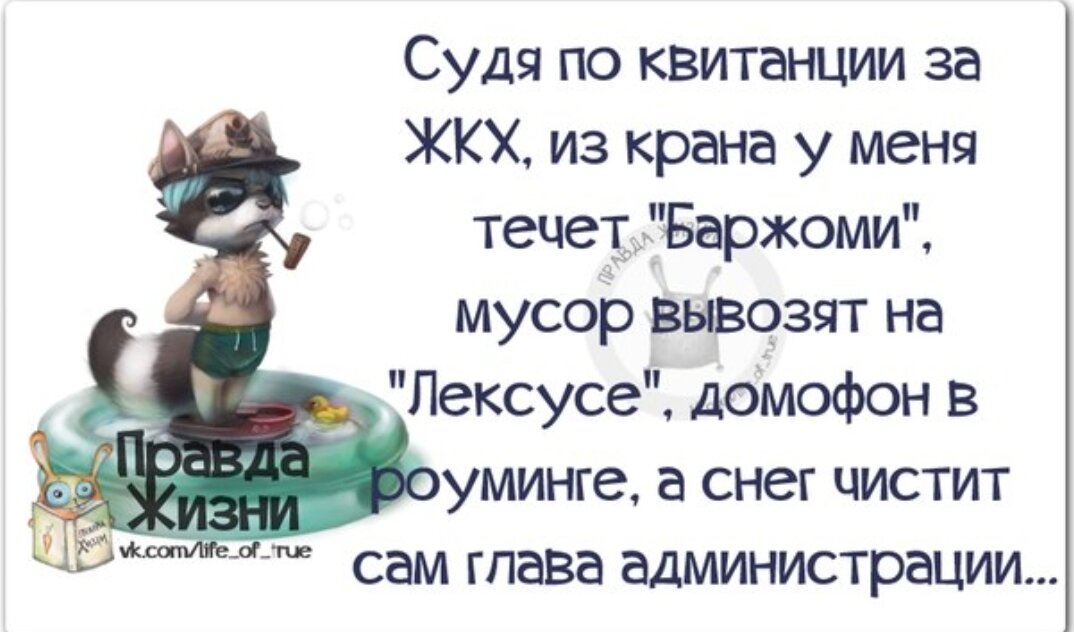 Фото взято из открытых источников