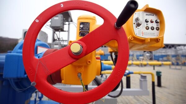   © Sputnik / Виталий Тимкив