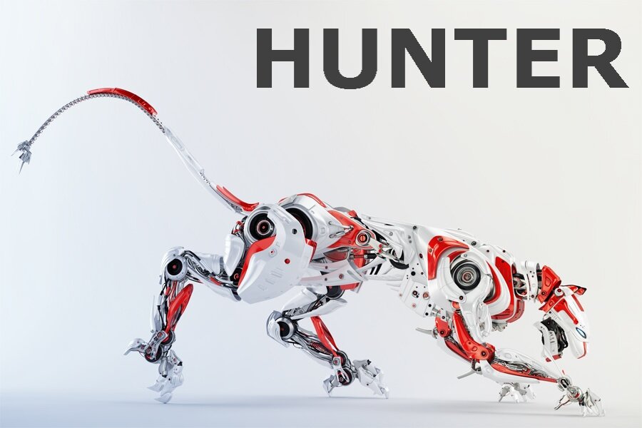 Robot hunt