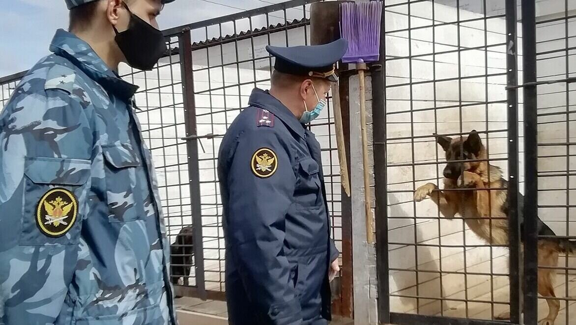     Суд огласил приговор военнослужащему, который стал участником массовой драки в Ставрополе. Решение принял Ставропольский гарнизонный военный суд.