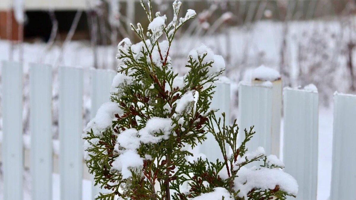     В Татарстане завтра, 9 февраля, обещают потепление. При этом ночью будет снег, а в отдельных районах и слабая метель. Об этом сообщили в гидрометцентре региона.