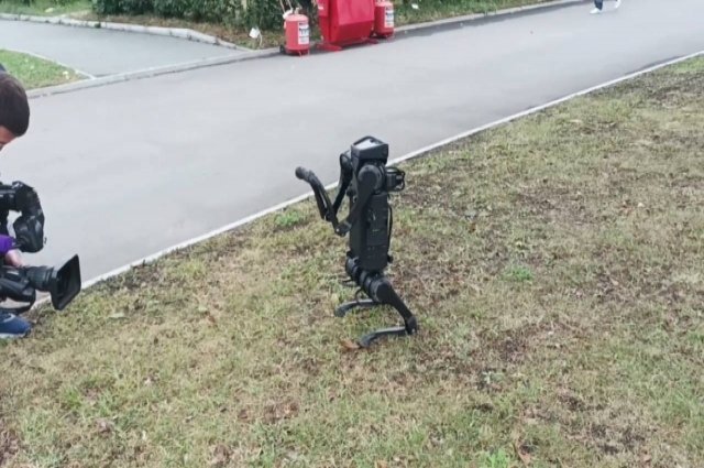    Где увидеть роботов?