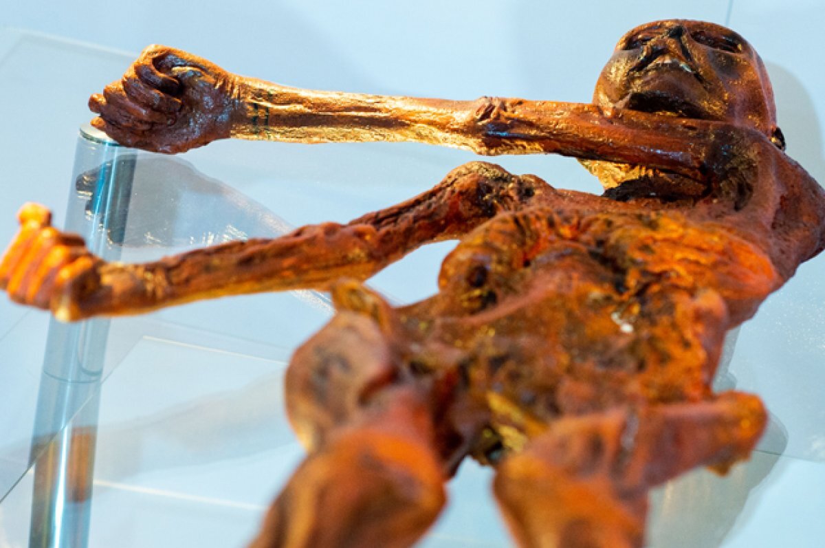    Мумия Этци.