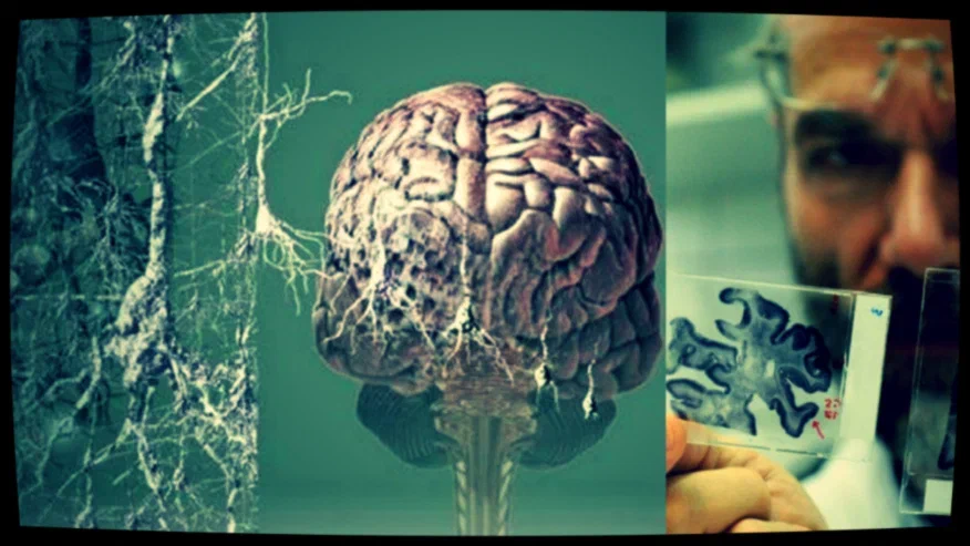 Они легко соперничают  с теми, кого старше, нет, не на годы, а на несколько десятков лет.