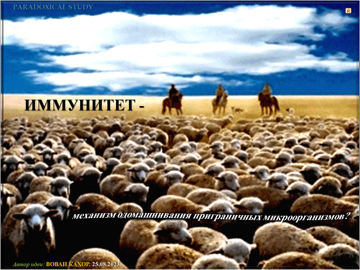 Тема: Одомашнивание