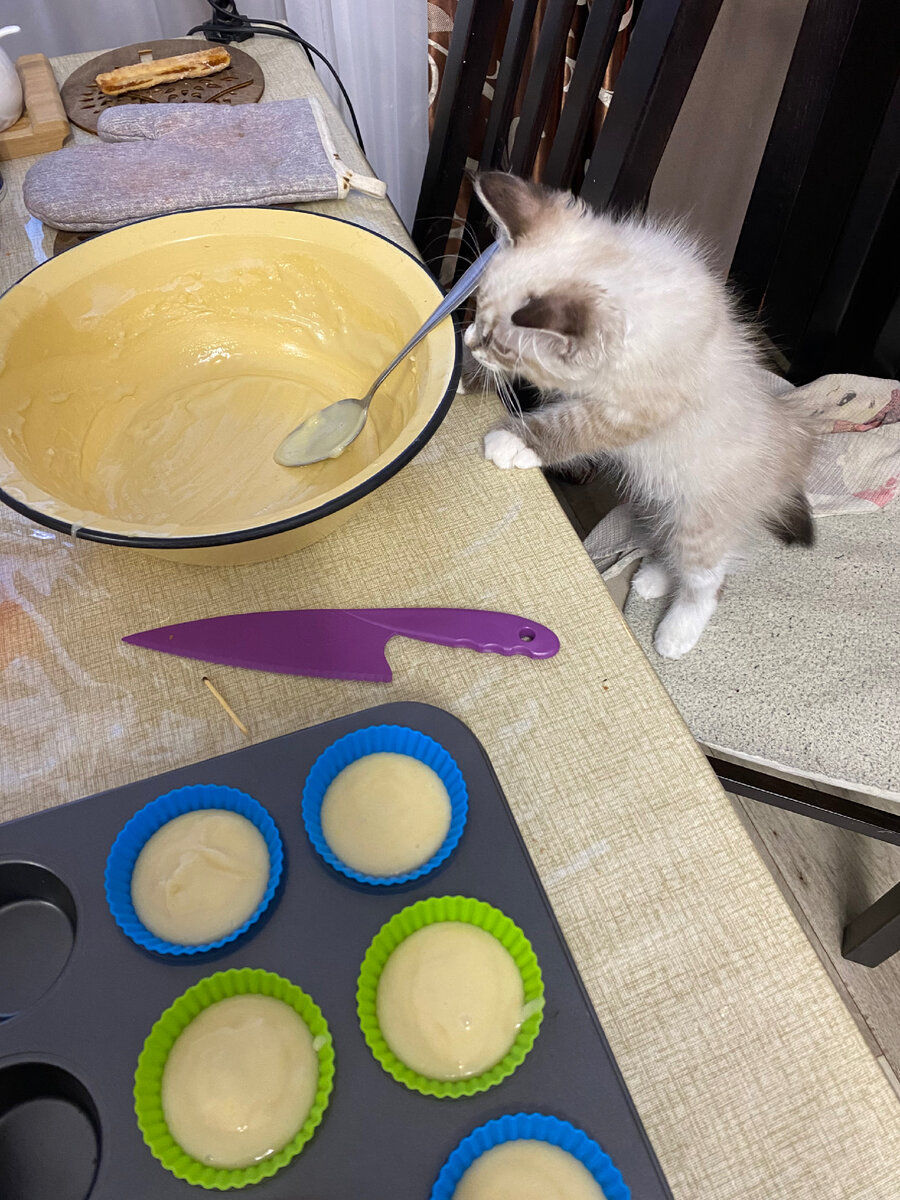 Везде сует свой мокрый носик.