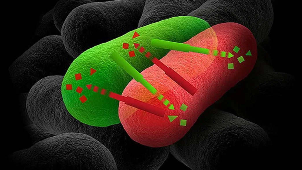 Иллюстрация: iflscience.com