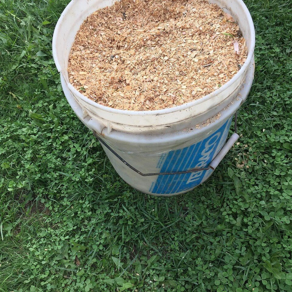    Соцсети блогера samsebe_agronom
