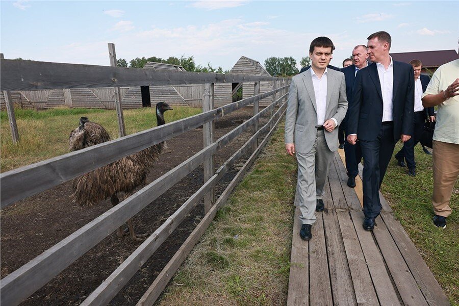 С Дмитрием Патрушевым Михаил Котюков съездил на ферму
Фото: krskstate.ru