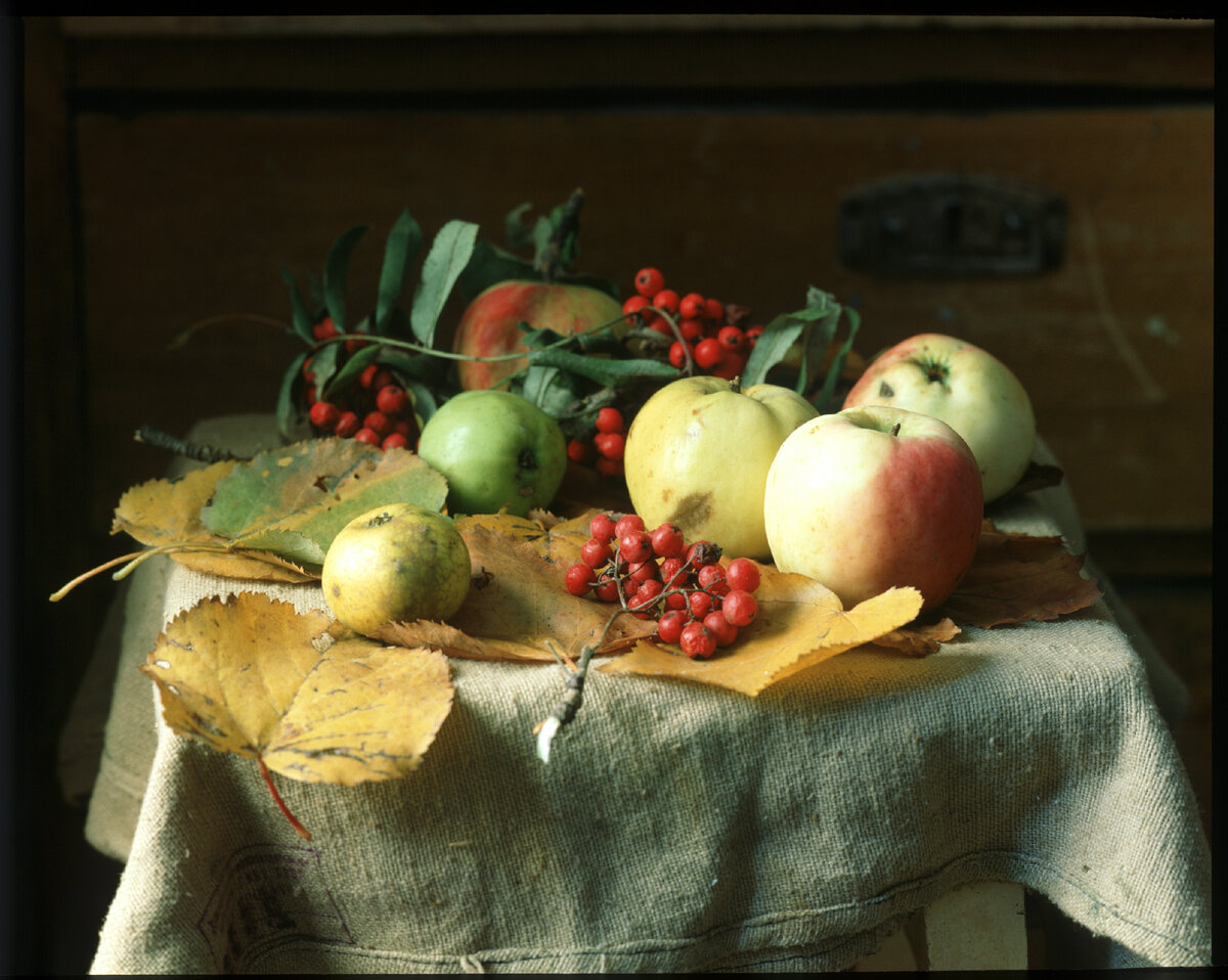 Фото: Vadim Nekrasov/Russian Look/Globallookpress