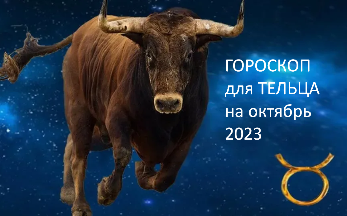 Фото из открытого источника