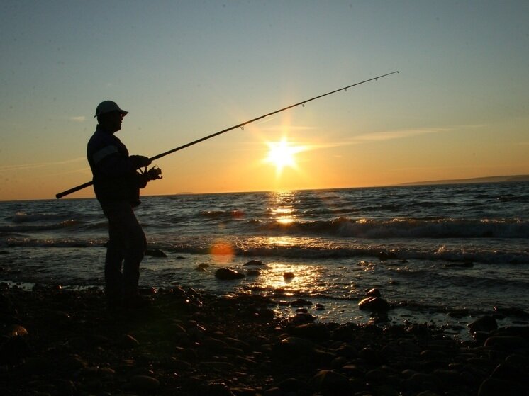     Какую рыбу ловить в Балтийском море, заливах и реках. Фото:pxhere