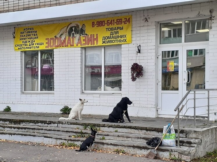     Фото: "ВЫШНИЙ ВОЛОЧЕК"/vk.com
