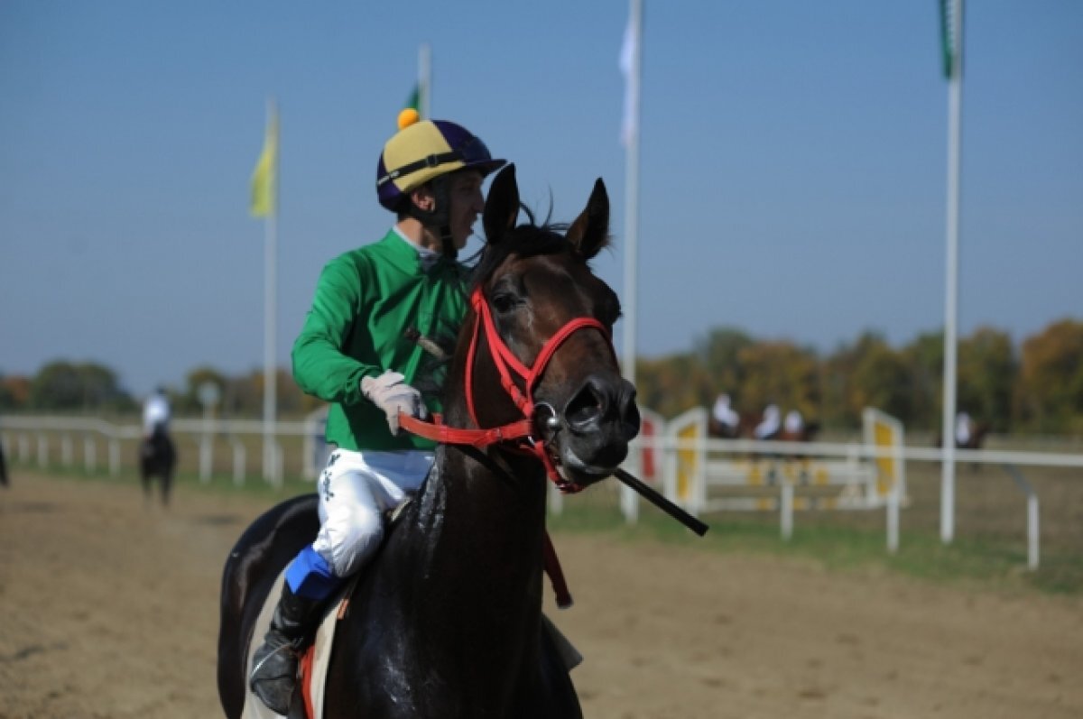    На капремонт воронежской школы наездников направят 41 млн руб