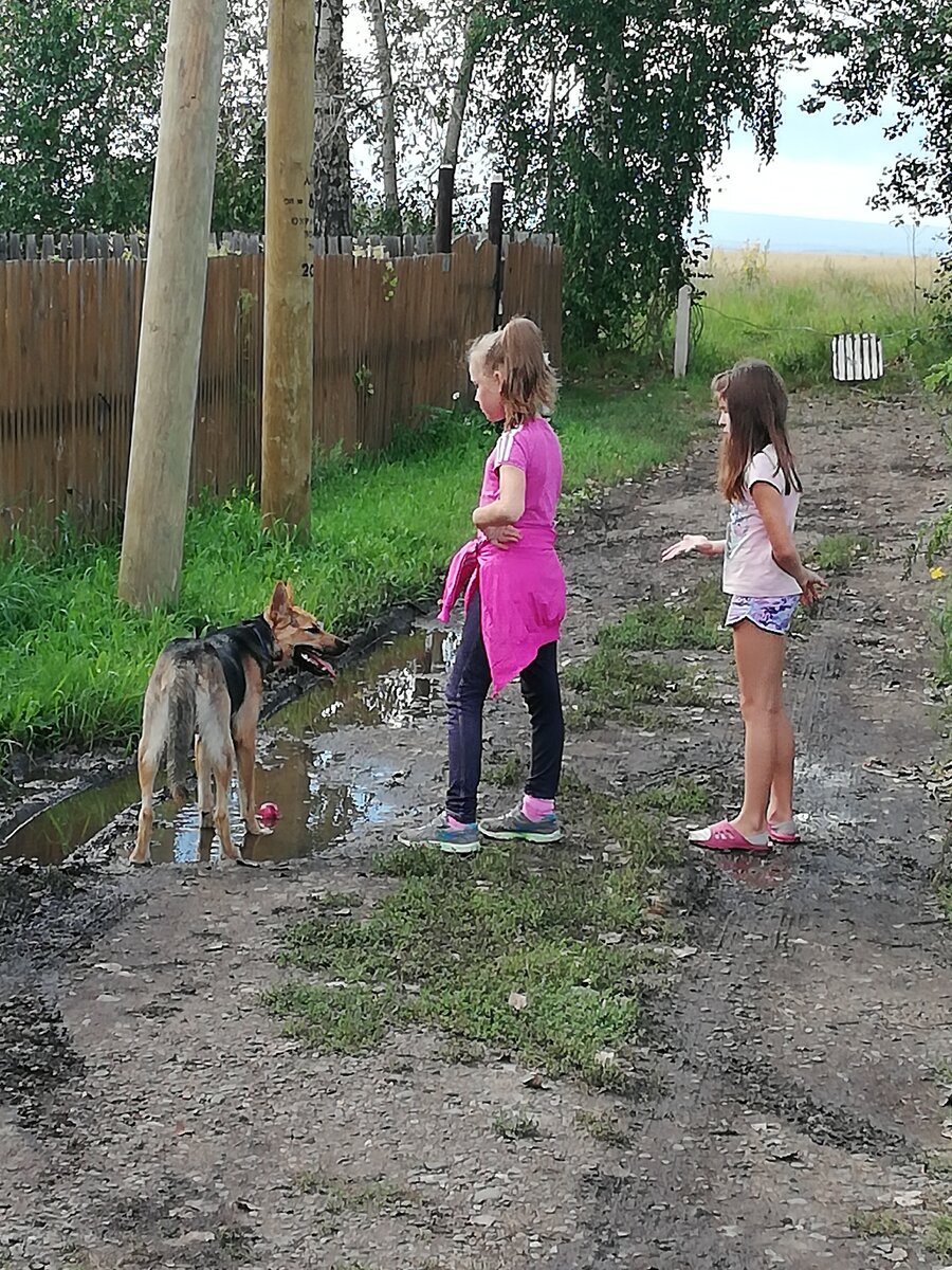 Бабушка, погладь ее, она не кусается!